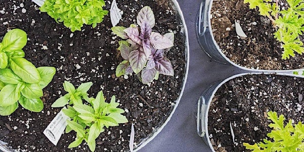 StrEATs Smarts: Grow Your Own Food